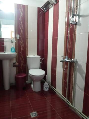 Фото номера Двухместный номер с 1 кроватью Гостевой дом Guest House AHP г. Мала-Цырква 6